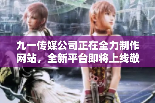 九一传媒公司正在全力制作网站，全新平台即将上线敬请期待