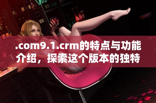.com9.1.crm的特点与功能介绍，探索这个版本的独特优势和应用场景