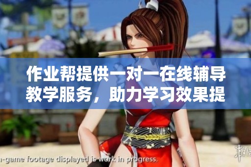 作业帮提供一对一在线辅导教学服务，助力学习效果提升。