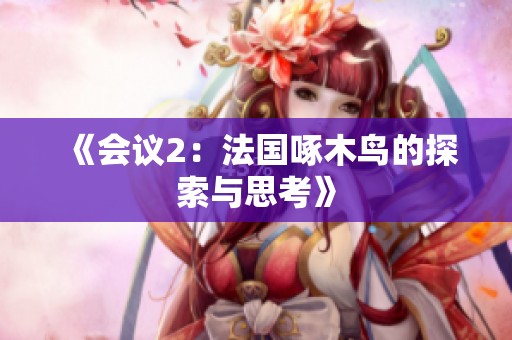 《会议2：法国啄木鸟的探索与思考》