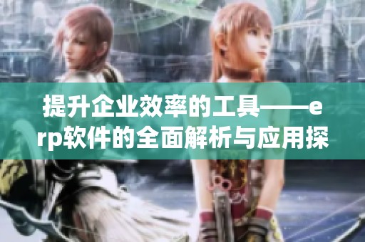 提升企业效率的工具——erp软件的全面解析与应用探讨