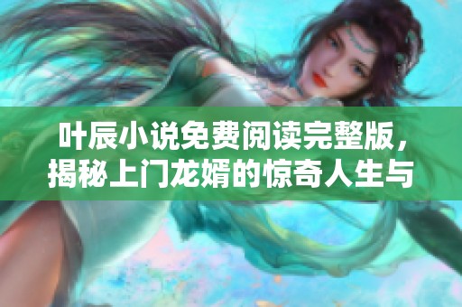 叶辰小说免费阅读完整版，揭秘上门龙婿的惊奇人生与精彩故事