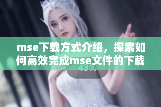 mse下载方式介绍，探索如何高效完成mse文件的下载任务
