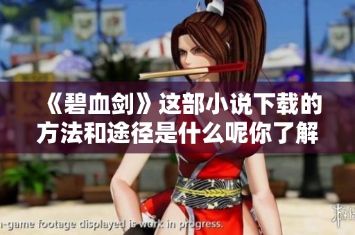 《碧血剑》这部小说下载的方法和途径是什么呢你了解吗