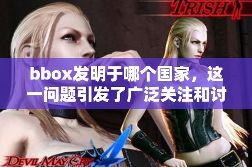 bbox发明于哪个国家，这一问题引发了广泛关注和讨论