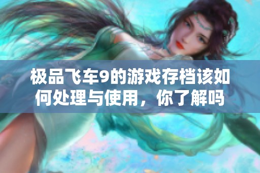 极品飞车9的游戏存档该如何处理与使用，你了解吗