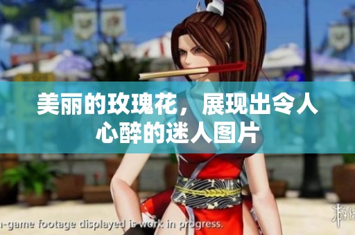 美丽的玫瑰花，展现出令人心醉的迷人图片