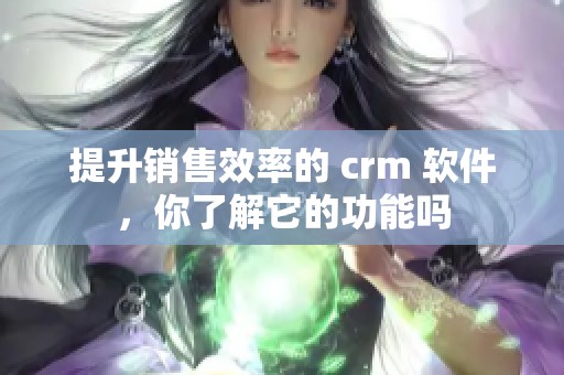 提升销售效率的 crm 软件，你了解它的功能吗