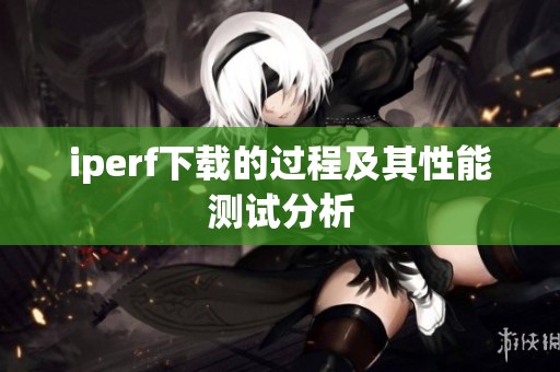 iperf下载的过程及其性能测试分析