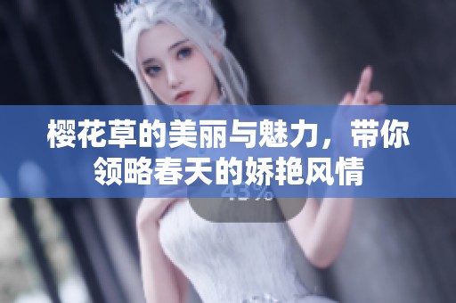 樱花草的美丽与魅力，带你领略春天的娇艳风情