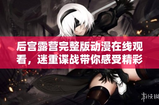 后宫露营完整版动漫在线观看，迷重谍战带你感受精彩冒险故事