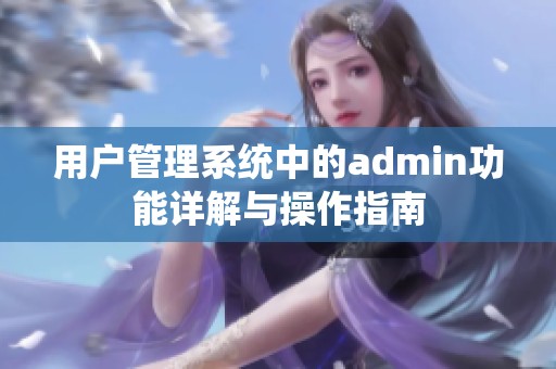 用户管理系统中的admin功能详解与操作指南