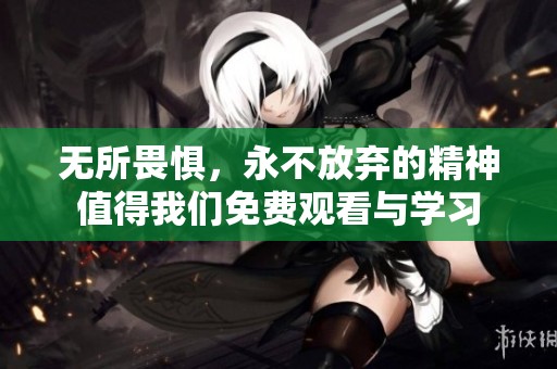 无所畏惧，永不放弃的精神值得我们免费观看与学习