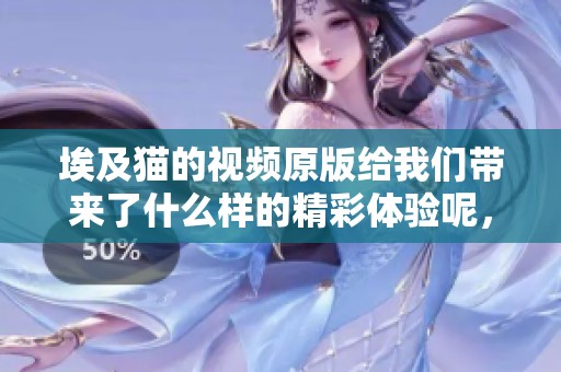 埃及猫的视频原版给我们带来了什么样的精彩体验呢，你可以来看一看。