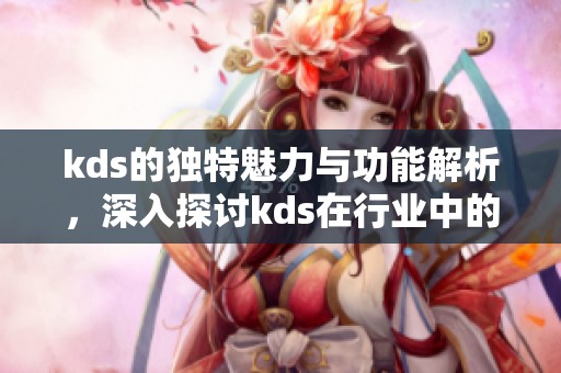 kds的独特魅力与功能解析，深入探讨kds在行业中的应用与价值
