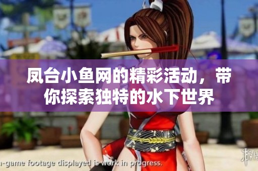凤台小鱼网的精彩活动，带你探索独特的水下世界