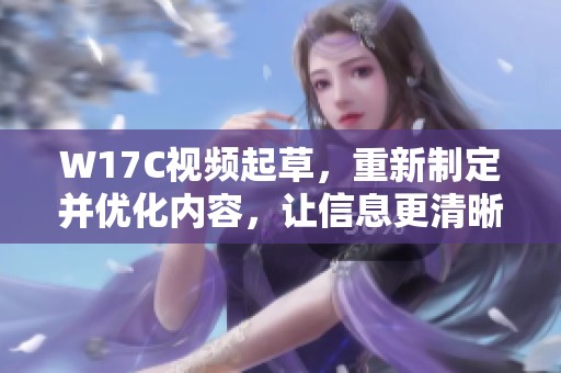 W17C视频起草，重新制定并优化内容，让信息更清晰易懂