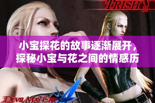 小宝探花的故事逐渐展开，探秘小宝与花之间的情感历程。