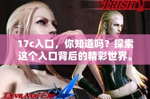 17c入口，你知道吗？探索这个入口背后的精彩世界。