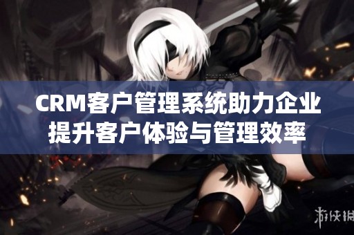 CRM客户管理系统助力企业提升客户体验与管理效率