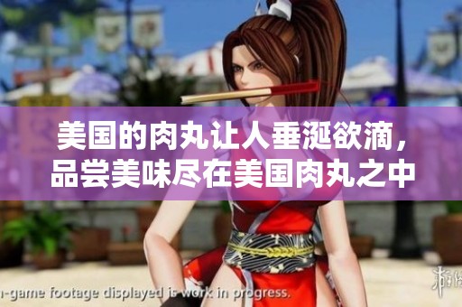 美国的肉丸让人垂涎欲滴，品尝美味尽在美国肉丸之中