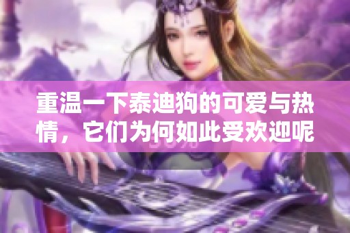 重温一下泰迪狗的可爱与热情，它们为何如此受欢迎呢