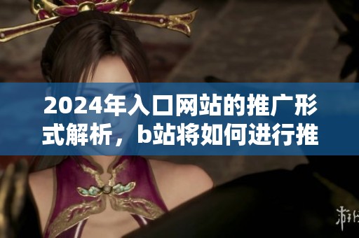 2024年入口网站的推广形式解析，b站将如何进行推广活动