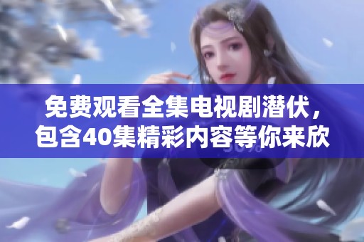 免费观看全集电视剧潜伏，包含40集精彩内容等你来欣赏