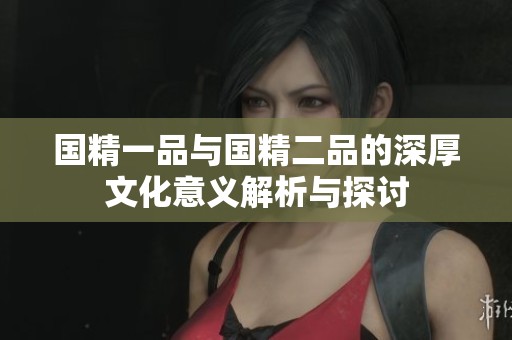 国精一品与国精二品的深厚文化意义解析与探讨