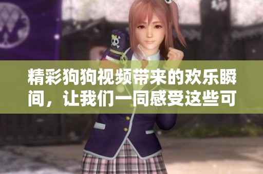 精彩狗狗视频带来的欢乐瞬间，让我们一同感受这些可爱瞬间的魅力吧