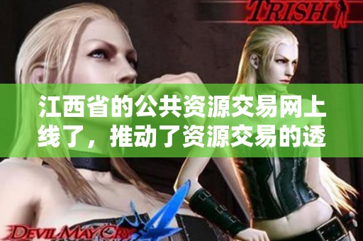 江西省的公共资源交易网上线了，推动了资源交易的透明化和高效化服务