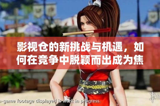 影视仓的新挑战与机遇，如何在竞争中脱颖而出成为焦点