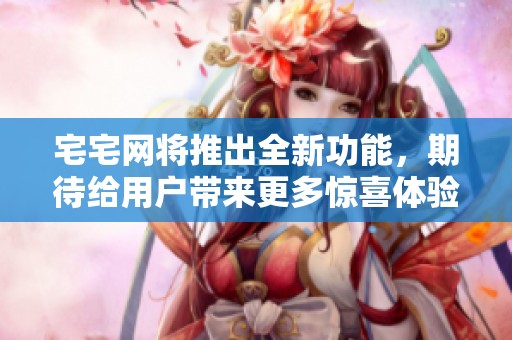 宅宅网将推出全新功能，期待给用户带来更多惊喜体验