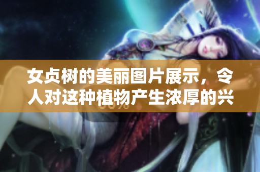 女贞树的美丽图片展示，令人对这种植物产生浓厚的兴趣与喜爱。