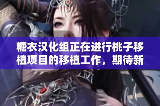 糖衣汉化组正在进行桃子移植项目的移植工作，期待新的进展与体验。