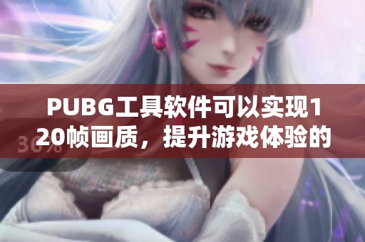 PUBG工具软件可以实现120帧画质，提升游戏体验的最佳选择