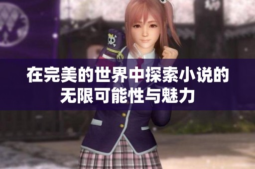 在完美的世界中探索小说的无限可能性与魅力