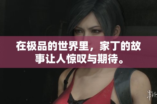在极品的世界里，家丁的故事让人惊叹与期待。
