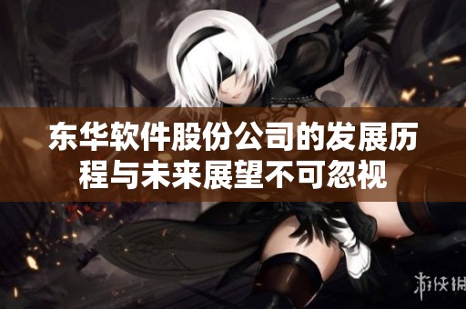 东华软件股份公司的发展历程与未来展望不可忽视