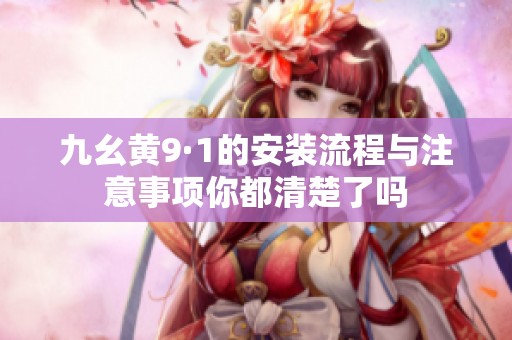 九幺黄9·1的安装流程与注意事项你都清楚了吗