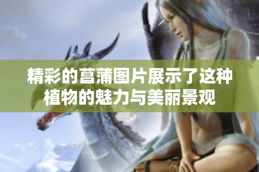 精彩的菖蒲图片展示了这种植物的魅力与美丽景观