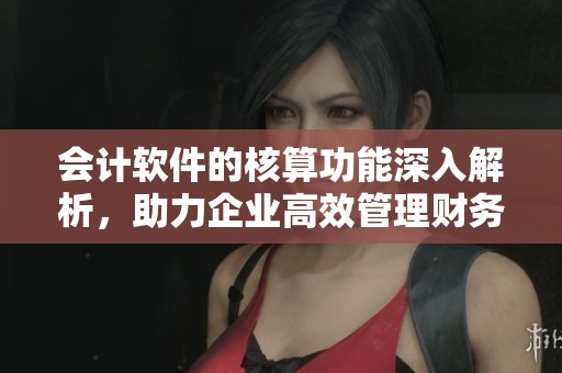 会计软件的核算功能深入解析，助力企业高效管理财务数据