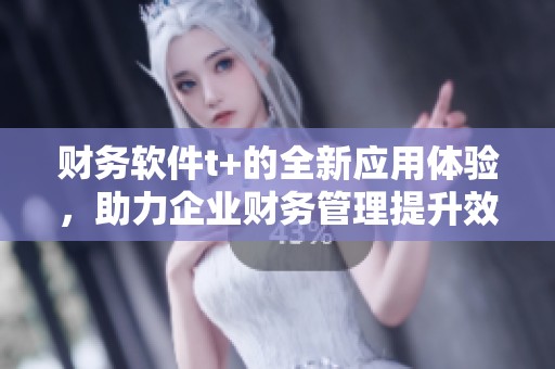 财务软件t+的全新应用体验，助力企业财务管理提升效率