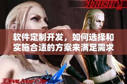 软件定制开发，如何选择和实施合适的方案来满足需求？