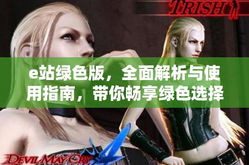 e站绿色版，全面解析与使用指南，带你畅享绿色选择的乐趣