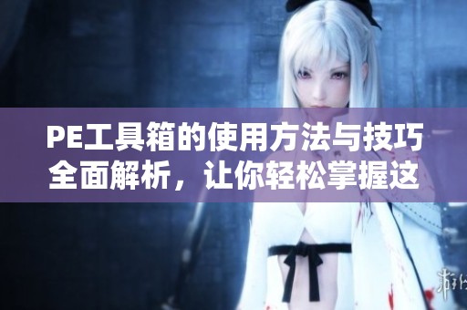 PE工具箱的使用方法与技巧全面解析，让你轻松掌握这款实用工具的所有功能