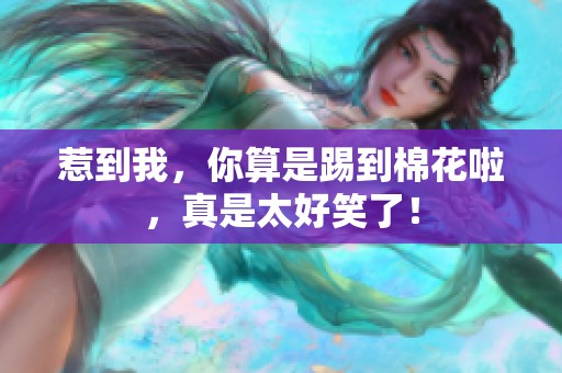 惹到我，你算是踢到棉花啦，真是太好笑了！