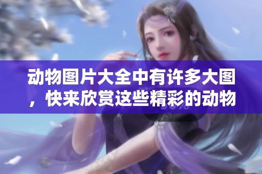 动物图片大全中有许多大图，快来欣赏这些精彩的动物吧！