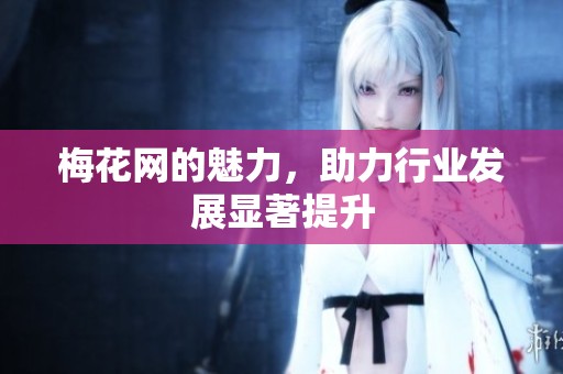 梅花网的魅力，助力行业发展显著提升