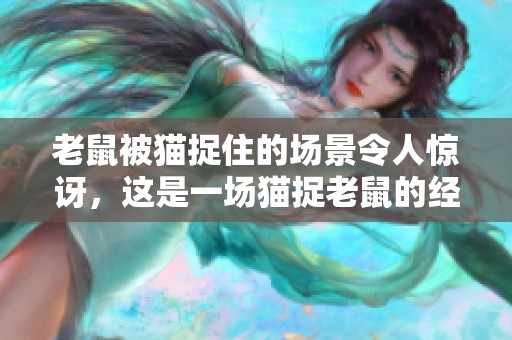 老鼠被猫捉住的场景令人惊讶，这是一场猫捉老鼠的经典较量